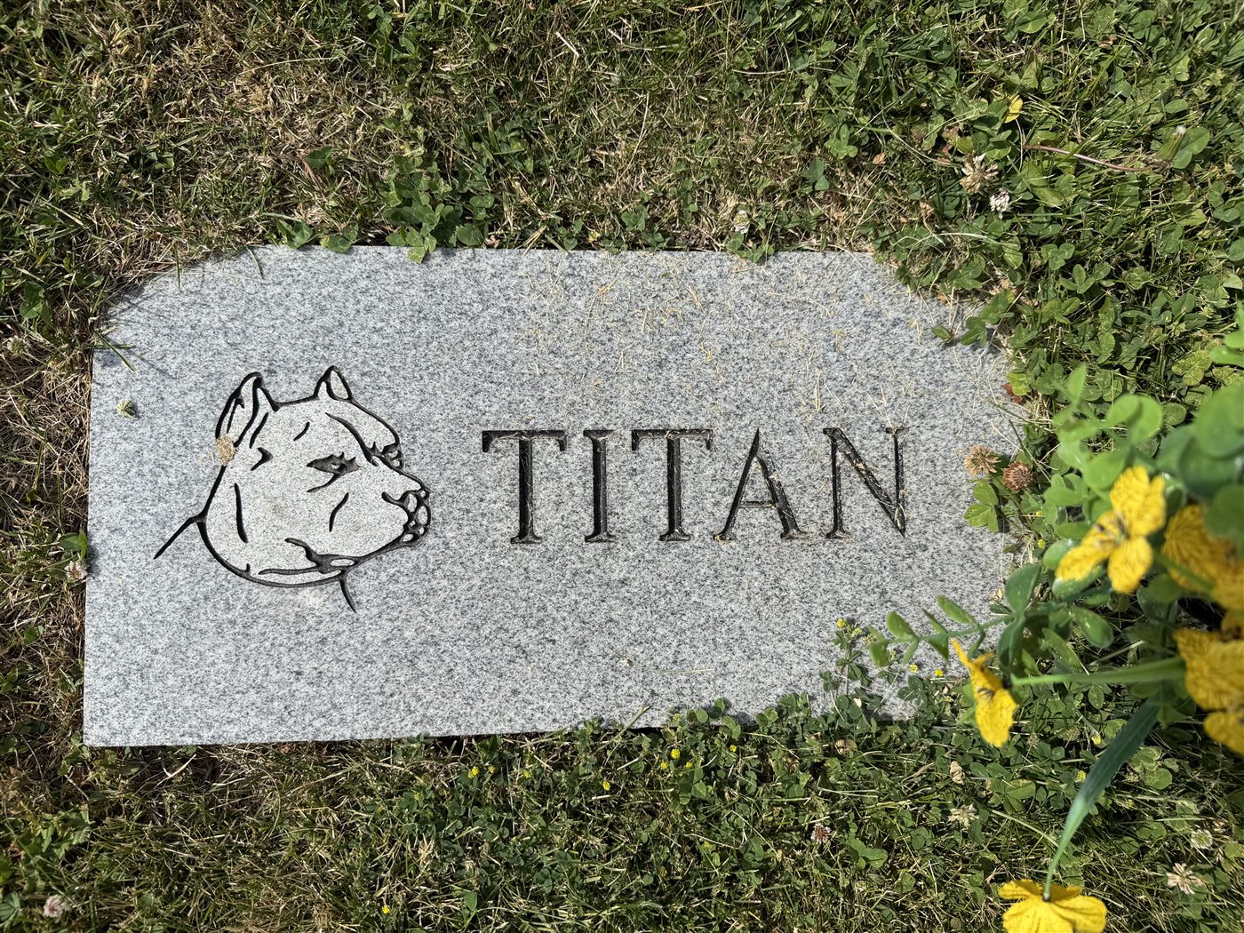 Titan's memorial stone at Forever Home Cemetery, engraved with his portrait