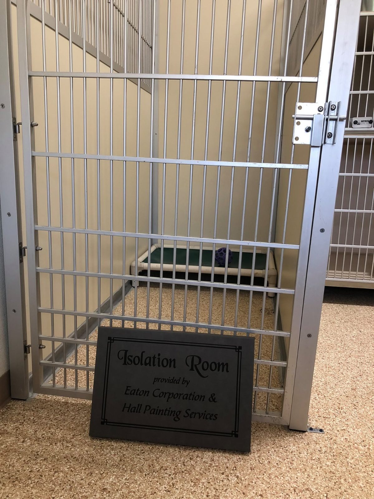 Cat Isolation Room Upgrades