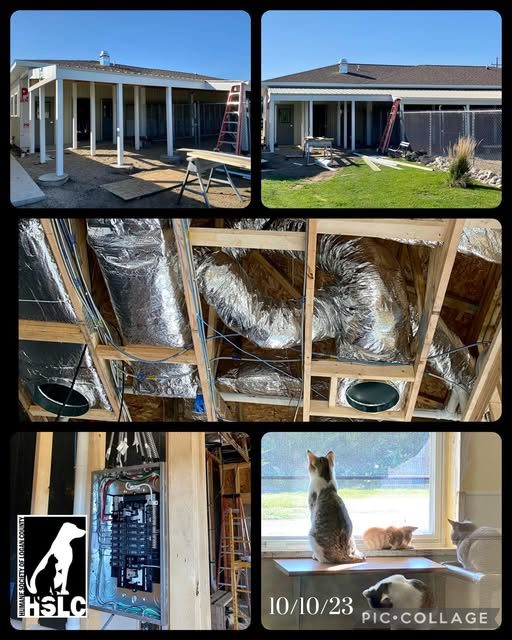 Dog Isolation Addition & Shelter Improvements