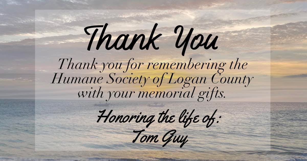 Tom Guy