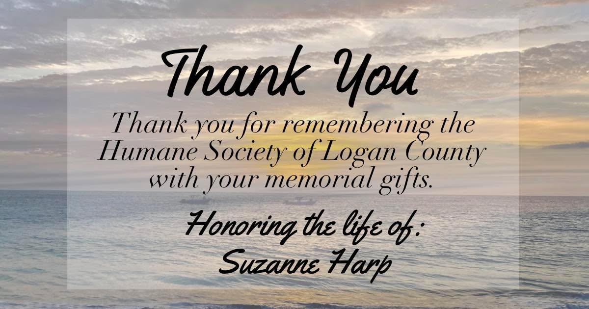 Suzanne Harp