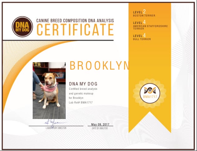 DNA My Dog