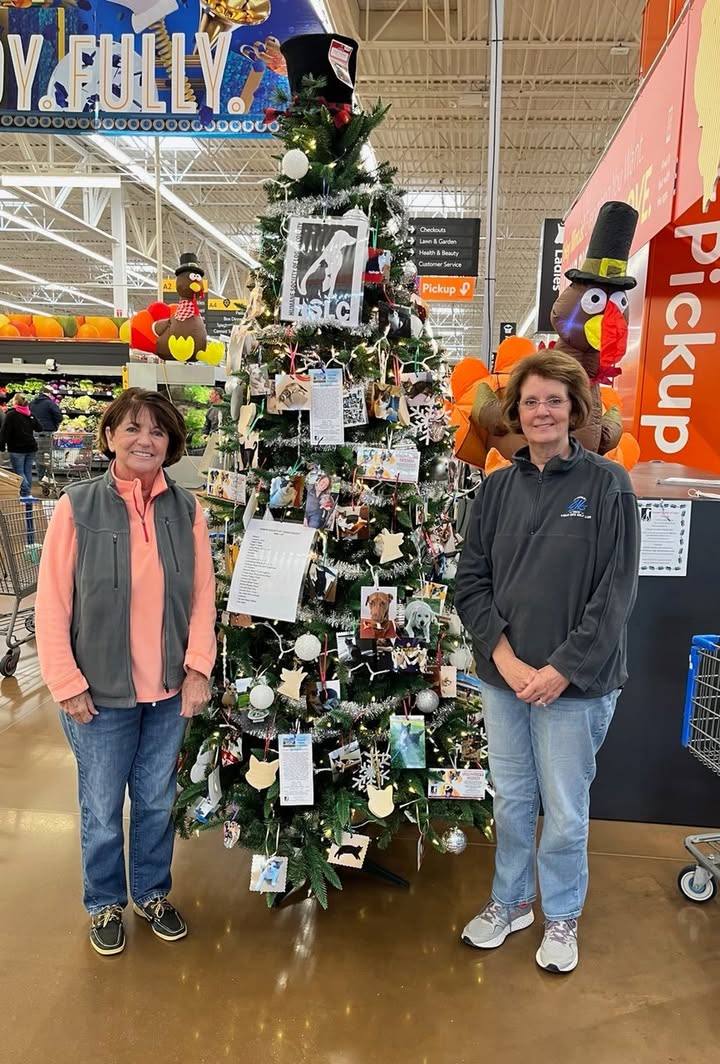 Lincoln Walmart